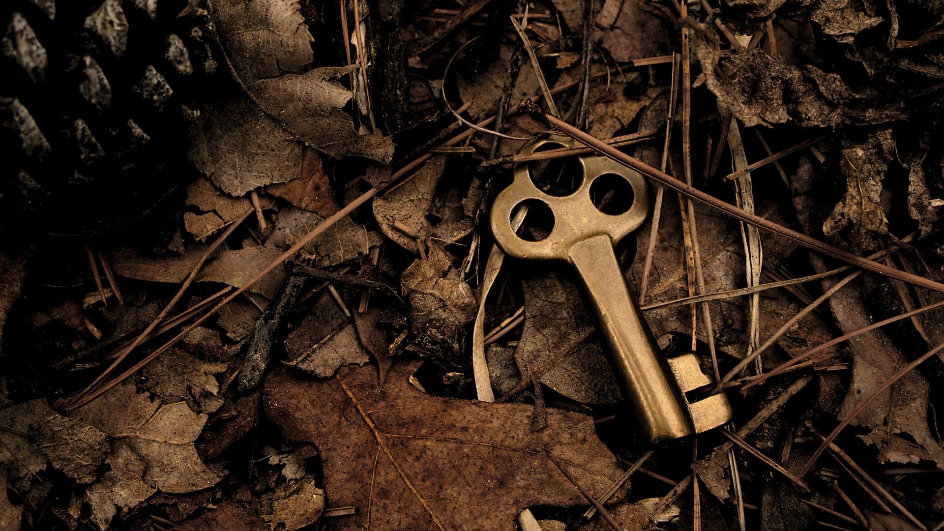 skeleton key surround with dry leaves